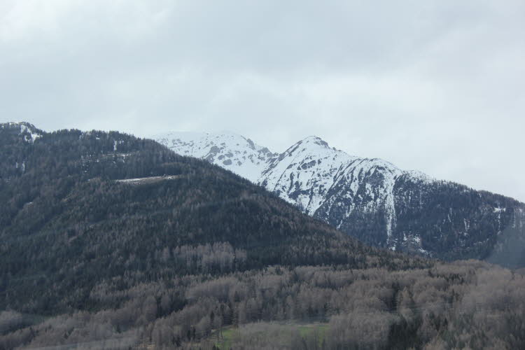 IMG_0034