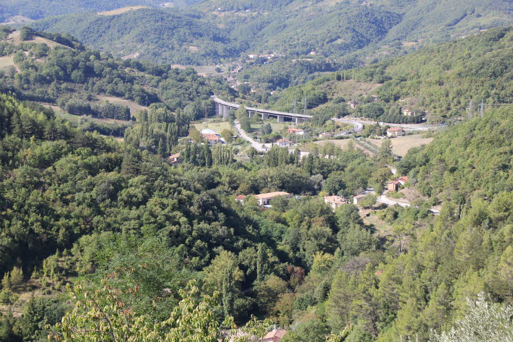 IMG_0122