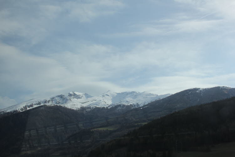 IMG_0587